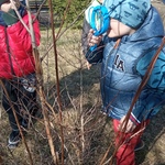Pierwszy dzień wiosny gr. 3