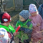 Pierwszy dzień wiosny gr. 3