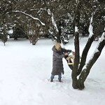Teraz codziennie dbamy by ptaki miały pożywienie