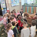 Wyjątkowi goście w naszym przedszkolu - alpaki i skunks