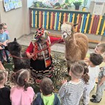 Wyjątkowi goście w naszym przedszkolu - alpaki i skunks