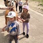 Wyjątkowi goście w naszym przedszkolu - alpaki i skunks