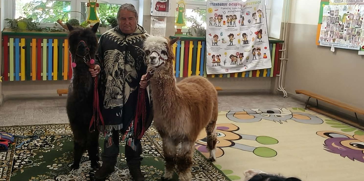 Wyjątkowi goście w naszym przedszkolu - alpaki i skunks