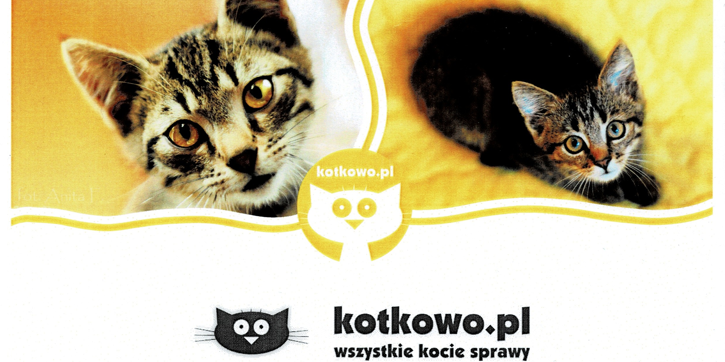Scan2026-05-13_172413.png