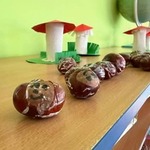 Jesienne przygody Żabek
