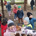 Jesienne przygody Żabek