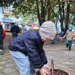 Jesienne przygody Żabek