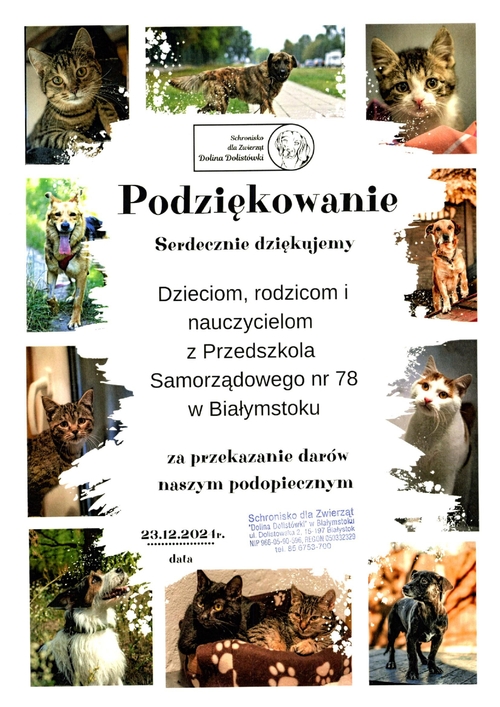 podziękowanie koty_page-0001.jpg