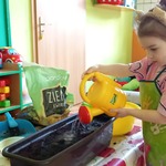 Myszki sieją i sadzą