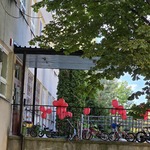 Światowy Dzień Świadomości Dystrofii Mięśniowej Duchenne’a