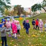 Biedronki na jesiennym spacerze